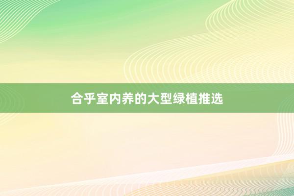 合乎室内养的大型绿植推选
